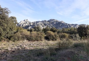 Excursión Senderismo Aureille - Aureille Pas de la Figuiere - Photo