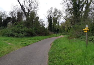 Tocht Stappen Pau - GR 782 B pont du 14 juillet artiguelouve 