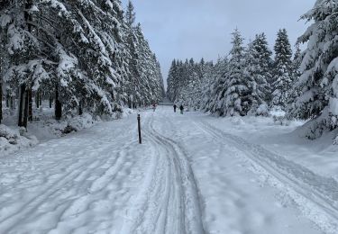 Trail Snowshoes Malmedy - Randonnée raquettes Mont Spinette-Malmédy - Photo