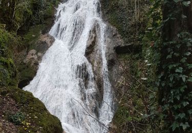 Trail Walking Groissiat - Groissiat pied de mule Cascade  - Photo