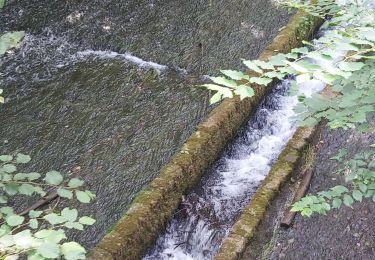 Percorso Marcia Bailleul-la-Vallée - Bailleul la Vallée : la randonnée qui monte  - Photo