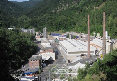 Tour Zu Fuß Lahnstein - Rundwanderweg Braubach: B4 Molkenborn-Römersborn-Forstmühle - Photo