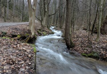 Excursión A pie okres Košice - okolie - Náučný chodník Zádielska tiesňava - Photo