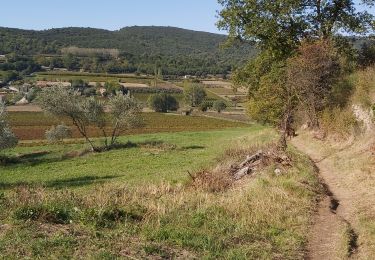 Trail Walking Malaucène - Malaucene-Crestet-Vaison la Romaine  - Photo