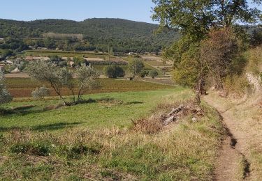 Excursión Senderismo Malaucène - Malaucene-Crestet-Vaison la Romaine  - Photo