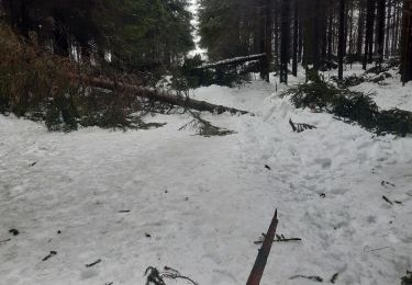 Tour Wandern Weismes - tout petit tour dans 50 cm de neige fondante - Photo