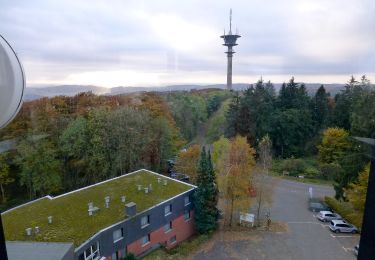 Percorso A piedi Kirchheim - Eisenbergweg (+42) - Photo