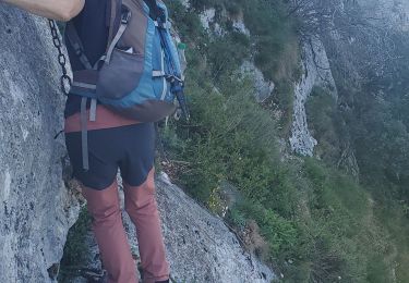 Trail Walking Plan-d'Aups-Sainte-Baume - Marcel estruche - Photo