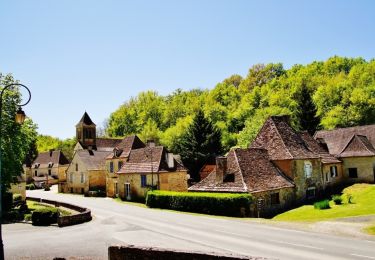 Trail Walking Saint-Félix-de-Reillac-et-Mortemart - Boucle de Saint Félix - Photo