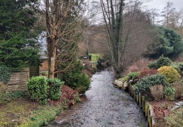 Trail Walking Ouilly-du-Houley - Ouille du Houley - Photo