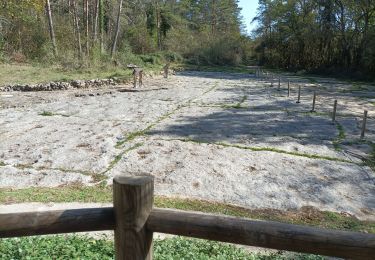 Trail Walking Hautecourt-Romanèche - romaneche - Photo