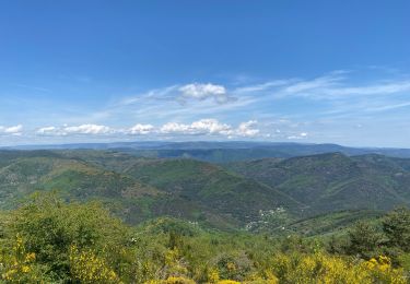 Excursión Senderismo Saint-André-de-Valborgne - Saint André de Valborgne  - Photo