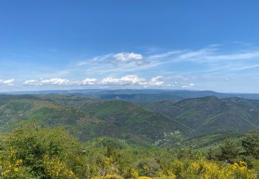 Trail Walking Saint-André-de-Valborgne - Saint André de Valborgne  - Photo