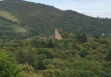 Tour Wandern Soudorgues - Vallée Salindrenque - Photo