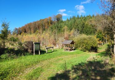 Tocht Stappen Fauvillers - Fauvillers 221024 - Photo