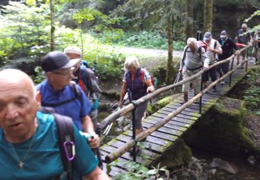 Trail Walking Masevaux-Niederbruck - Masevaux Sickertbach hutte - Photo