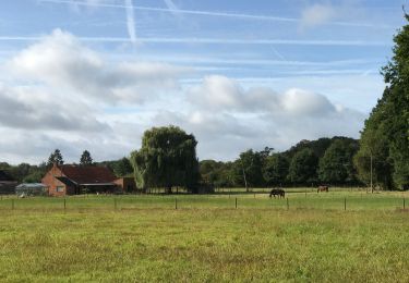 Randonnée Marche Bonheiden - Malines les marais moeras 21 km - Photo