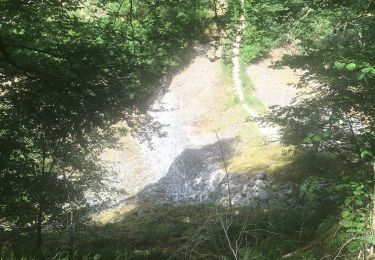 Randonnée Marche Saint-Étienne-lès-Remiremont - Le Saint Mont boucle 13,9kms - Photo