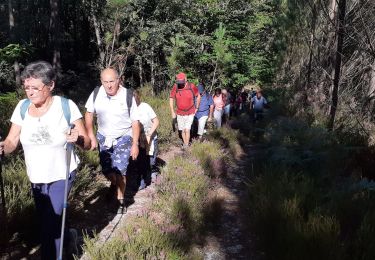 Tour Wandern Sorges et Ligueux en Périgord - sorges ouest  - Photo