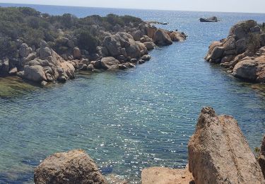Tocht Stappen Bonifacio - 2021-09-11_18h40m20_Boucle hermitage - Photo