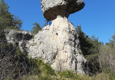 Randonnée Marche La Roque-Sainte-Marguerite - la roque Montpellier le vieux  la roque St m - Photo