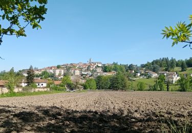 Trail Walking Saint-Galmier - Saint Galmier du 04-05-2023 - Photo