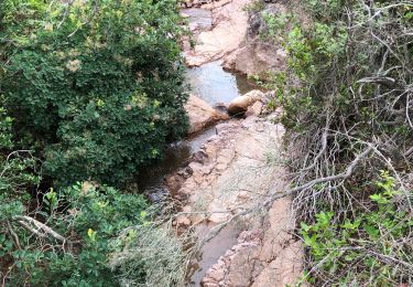 Tour Wandern Saint-Raphaël - Les lacs par les rochers du Caneiret - Photo
