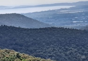 Trail Walking Hyères - N3 1er Borrels - Photo