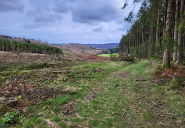 Tocht Stappen Bouillon - Cornimont 100324 - Photo