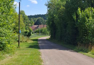 Trail Nordic walking Laines-aux-Bois - MN Denis Les grandes vallees  - Photo