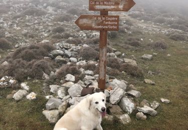 Tocht Stappen Peille - Cîme des Cabanelles - Photo