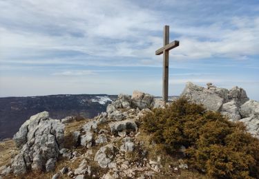 Excursión Raquetas de nieve Lans-en-Vercors - Vallon de la Ramée - Photo