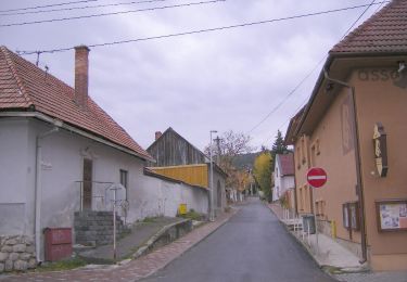 Excursión A pie okres Prievidza - Náučný chodník Bojnice/Dubnica - Hradište - Photo