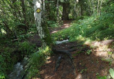 Trail Nordic walking Arbaz - Botyre  - Photo