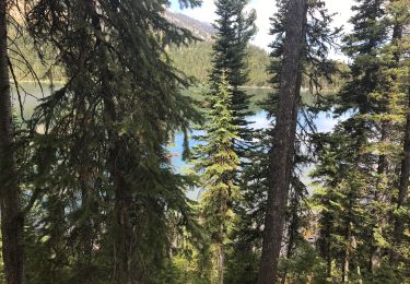 Trail Walking  - Lake Taggart et Bradley - Grand Tetons  - Photo
