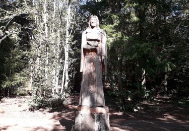 Trail Walking Yvré-l'Évêque - le Verger - Photo