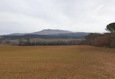 Trail Walking Meyreuil - terril defends - Photo