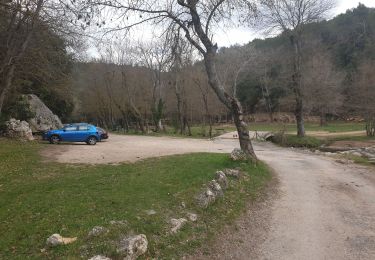 Tour Wandern Saint-Zacharie - la forêt du Defens - Photo