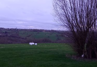 Randonnée Marche Beyne-Heusay - Beyne Heusay - Balade du lynx  - Photo