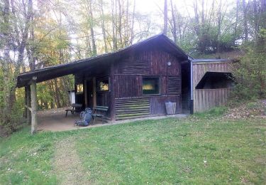 Percorso A piedi Mörlenbach - Rundwanderweg Mörlenbach 5: Bonsweiher-Wanderung - Photo