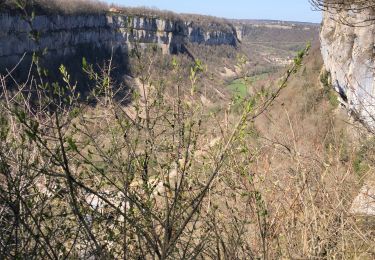 Trail Walking Baume-les-Messieurs - Baumes les Messieurs par le bord.  - Photo