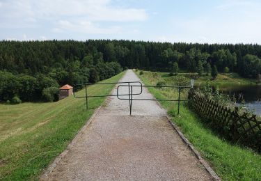 Tocht Te voet Oberharz am Brocken - Drei Annen Hohne-Mandelholz - Photo