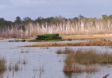 Randonnée Marche Carcans - çanal des etangs - Photo