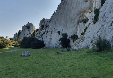 Percorso Marcia Mouriès - Les Castellas des Baux - Photo