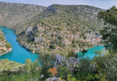 Tour Wandern Montmeyan - Verdon Sentier garde canal 05/03/2021 - Photo