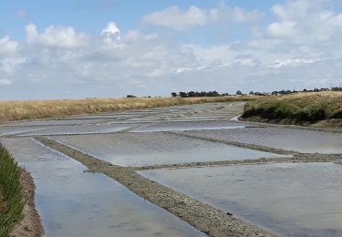 Tocht Stappen L'Épine - EPINE 12 JUIN 2019 - Photo