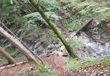 Randonnée Marche Saint-Laurent-du-Pont - Le cul de la lampe par le Rocher du Pin - Photo