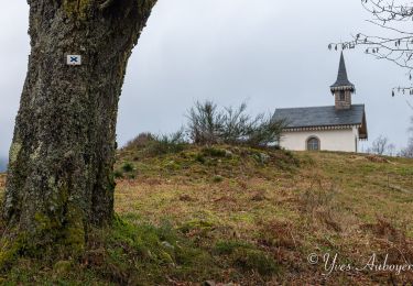 Trail Walking Le Ménil - Boucle de La Chapelle de la Pitié  - Photo