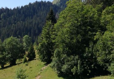 Tocht Stappen La Pesse - CRETS CHALAM, AU MERLE et NERBIER - Photo
