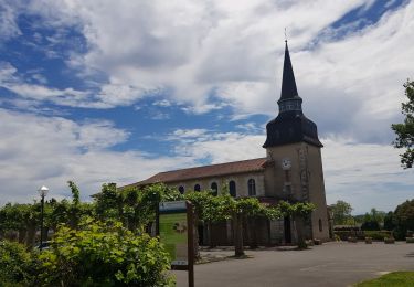 Randonnée V.T.T. Saint-Paul-lès-Dax - rando dax sud à partir des chênes - Photo